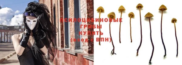 трава Алзамай