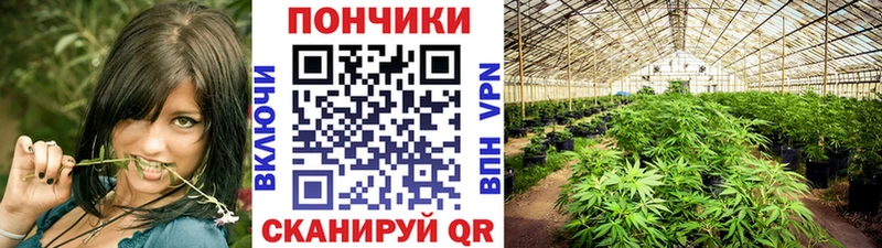 Конопля LSD WEED Петрозаводск